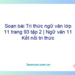 Soạn bài Tri thức ngữ văn lớp 11 trang 93 tập 2 | Ngữ văn 11 Kết nối tri thức