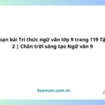 soạn bài tri thức ngữ văn lớp 9 trang 119 tập 2 chân trời sáng tạo ngữ văn 9