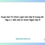 soạn bài tri thức ngữ văn lớp 9 trang 45 tập 2 kết nối tri thức ngữ văn 9