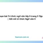 soạn bài tri thức ngữ văn lớp 9 trang 5 tập 2 kết nối tri thức ngữ văn 9