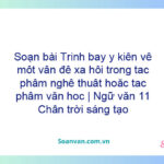 Soạn bài Trình bày ý kiến về một vấn đề xã hội trong tác phẩm nghệ thuật hoặc tác phẩm văn học | Ngữ văn 11 Chân trời sáng tạo