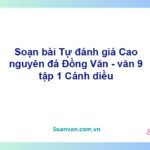 Soạn bài Cao nguyên đá Đồng Văn | Cánh diều Ngữ văn 9