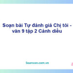 Soạn bài Chị tôi | Cánh diều Ngữ văn 9