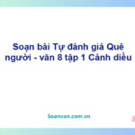 Soạn bài Tự đánh giá: Quê người | Cánh diều Ngữ văn 8