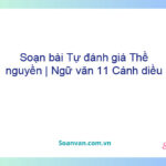 Soạn bài Tự đánh giá: Thề nguyền | Ngữ văn 11 Cánh diều