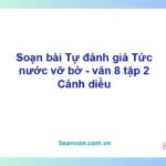 Soạn bài Tức nước vỡ bờ | Cánh diều Ngữ văn 8