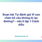 Soạn bài Tự đánh giá: Vì sao chim bồ câu không bị lạc đường? | Cánh diều Ngữ văn 8