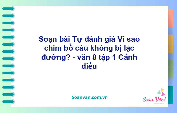 Soạn bài Tự đánh giá: Vì sao chim bồ câu không bị lạc đường? | Cánh diều Ngữ văn 8