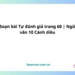 soạn bài tự đánh giá trang 60 ngữ văn 10 cánh diều