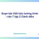 Soạn bài Viết bản tường trình | Cánh diều Ngữ văn 7