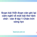 Soạn bài Viết đoạn văn ghi lại cảm nghĩ về một bài thơ tám chữ | Cánh diều Ngữ văn 9