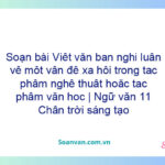 Soạn bài Viết văn bản nghị luận về một vấn đề xã hội trong tác phẩm nghệ thuật hoặc tác phẩm văn học | Ngữ văn 11 Chân trời sáng tạo