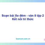 Soạn bài Xe đêm | Kết nối tri thức Ngữ văn 8