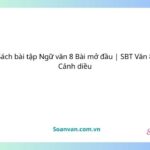 Sách bài tập Ngữ văn 8 Bài mở đầu | SBT Văn 8 Cánh diều