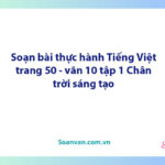 Soạn bài Thực hành tiếng Việt lớp 10 trang 50 Tập 1 | Ngữ văn 10 Chân trời sáng tạo