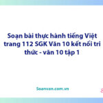 Soạn bài Thực hành tiếng việt lớp 7 trang 112 Tập 1 | Ngữ văn 10 Kết nối tri thức