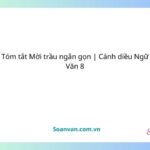 tóm tắt mời trầu ngắn gọn cánh diều ngữ văn 8