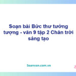 Soạn bài Bức thư tưởng tượng | Chân trời sáng tạo Ngữ văn 9