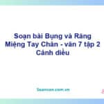 Soạn bài Bụng và Răng, Miệng, Tay, Chân | Cánh diều Ngữ văn 7