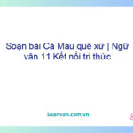 Soạn bài Cà Mau quê xứ | Ngữ văn 11 Kết nối tri thức