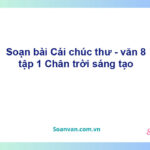 Soạn bài Cái chúc thư | Chân trời sáng tạo Ngữ văn 8