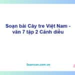 Soạn bài Cây tre Việt Nam | Cánh diều Ngữ văn 7