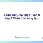 Soạn bài Chạy giặc | Chân trời sáng tạo Ngữ văn 8