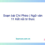 Soạn bài Chí Phèo | Ngữ văn 11 Kết nối tri thức