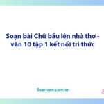 Soạn bài Chữ bầu lên nhà thơ | Ngữ văn 10 Kết nối tri thức