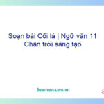 Soạn bài Cõi lá | Ngữ văn 11 Chân trời sáng tạo