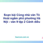 Soạn bài Cùng nhà văn Tô Hoài ngắm phố phường Hà Nội | Cánh diều Ngữ văn 9