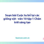 Soạn bài Cuộc tu bổ lại các giống vật | Ngữ văn 10 Chân trời sáng tạo