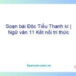 Soạn bài Độc Tiểu Thanh kí | Ngữ văn 11 Kết nối tri thức