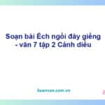 Soạn bài Ếch ngồi đáy giếng | Cánh diều Ngữ văn 7