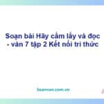 Soạn bài Hãy cầm lấy và đọc | Kết nối tri thức Ngữ văn 7