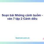 Soạn bài Những cánh buồm | Cánh diều Ngữ văn 7