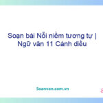 Soạn bài Nỗi niềm tương tự | Ngữ văn 11 Cánh diều