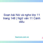 Soạn bài Nói và nghe lớp 11 trang 148 | Ngữ văn 11 Cánh diều