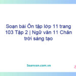 Soạn bài Ôn tập lớp 11 trang 103 Tập 2 | Ngữ văn 11 Chân trời sáng tạo