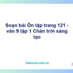 Soạn bài Thực hành tiếng Việt lớp 9 trang 121 Tập 1 | Kết nối tri thức Ngữ văn 9