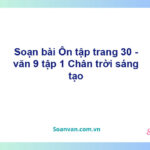 Soạn bài Ôn tập lớp 9 trang 30 Tập 1 | Chân trời sáng tạo Ngữ văn 9