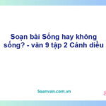 Soạn bài Sống, hay không sống | Cánh diều Ngữ văn 9