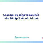 Soạn bài Sự sống và cái chết | Ngữ văn 10 Kết nối tri thức