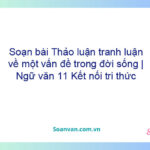 Soạn bài Thảo luận, tranh luận về một vấn đề trong đời sống | Ngữ văn 11 Kết nối tri thức