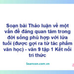 Soạn bài Thảo luận về một vấn đề đáng quan tâm trong đời sống phù hợp với lứa tuổi (được gợi ra từ tác phẩm văn học) | Kết nối tri thức Ngữ văn 9