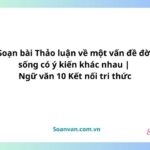 soạn bài thảo luận về một vấn đề đời sống có ý kiến khác nhau ngữ văn 10 kết nối tri thức