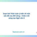 soạn bài thảo luận ý kiến về một vấn đề của đời sống chân trời sáng tạo ngữ văn 8