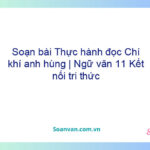 Soạn bài Thực hành đọc: Chí khí anh hùng | Ngữ văn 11 Kết nối tri thức