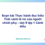 Soạn bài Tình cảnh lẻ loi của người chinh phụ | Cánh diều Ngữ văn 9