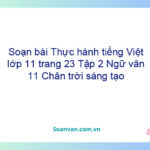 Soạn bài Thực hành tiếng Việt lớp 11 trang 23 Tập 2 Ngữ văn 11 Chân trời sáng tạo